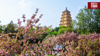 Gran Pagoda del Ganso Salvaje: joya budista de Xi’an y Patrimonio de la Humanidad