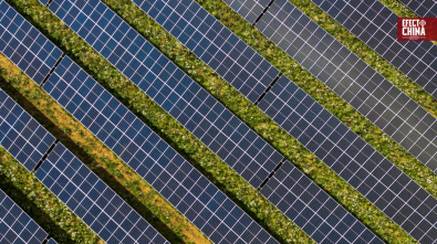 Parques solares en China, un modelo inspirado en su cosmovisión