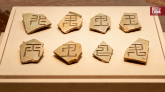 Las raíces de los caracteres chinos podrían remontarse 7.000 años