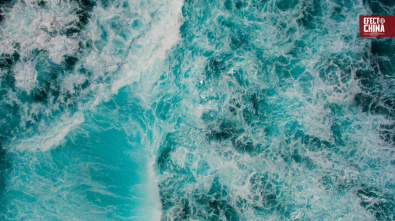 {title}