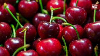 Chile inició la temporada de cerezas con más servicios directos a Asia y con foco en China