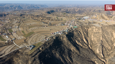 {title}