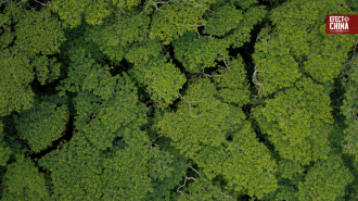 La Gran Muralla Verde: cómo China combate la desertificación