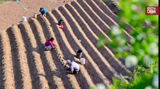 China emitió plan quinquenal para su modernización agrícola y rural