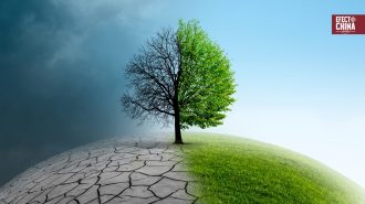 China, la UE y Canadá defienden el multilateralismo de cara a la próxima cumbre del clima