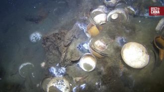 Descubren naufragio del siglo XVIII cargado de porcelana china en aguas noruegas