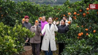 China Hoy: El ejemplo de China para América Latina