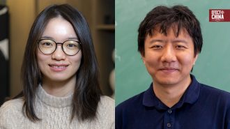 Dos profesores chinos ganaron la Medalla Fields, el Nobel de las Matemáticas