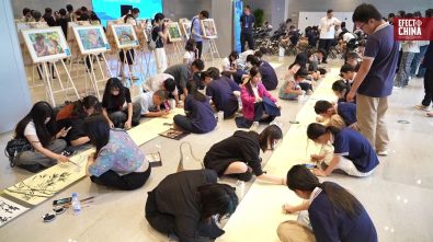 Más de 1.000 jóvenes participaron en foro sobre intercambios a través del Estrecho