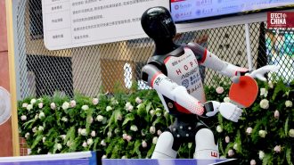 De jugar tenis de mesa a cocinar: así avanzan los robots en China