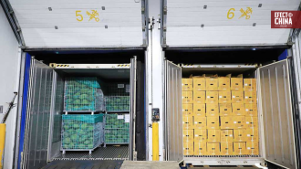 Cadena de frío china abre espacio a productos agrícolas latinoamericanos