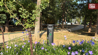 Beijing estrena su primer parque libre de mosquitos