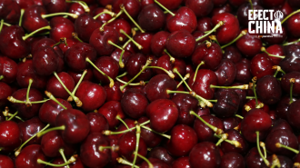 Chile y China agilizan exportaciones de fruta fresca con nuevo acuerdo