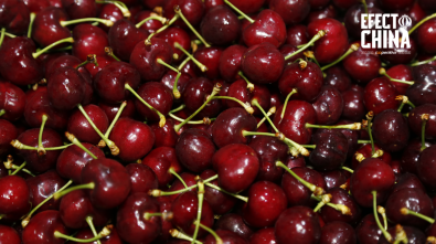 Chile y China agilizan exportaciones de fruta fresca con nuevo acuerdo