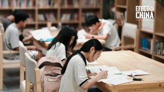 Cambiar de vida: esfuerzo y movilidad social en China