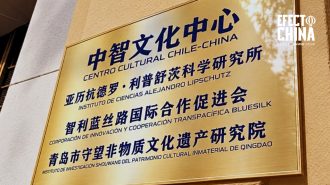 ICAL: Instituto Cultural Chile-China será “punta de lanza” de intercambio en Latinoamérica