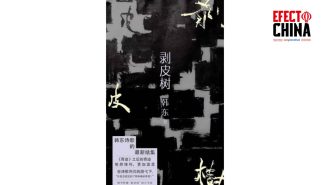 Han Dong y su búsqueda de la verdad