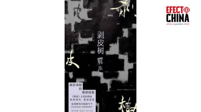 Han Dong y su búsqueda de la verdad