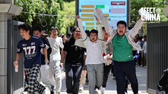 De las aulas al mercado laboral: desafíos, cultura y giros generacionales en China