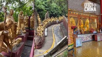 El increíble templo de Hong Kong que esconde 13.000 budas y una escalera con cientos de estatuas doradas